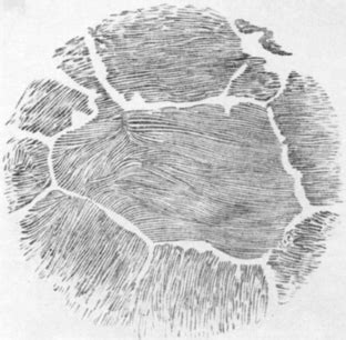 The Structure and Rate of Formation of Pearlite | SpringerLink