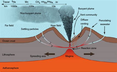 hydrothermal vent clipart 10 free Cliparts | Download images on ...