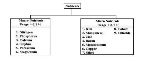 Macronutrients And Micronutrients Chart - img-primrose