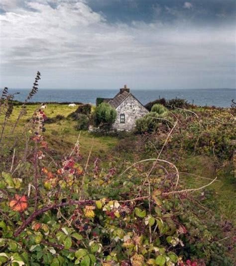 Ireland | Irish cottage, Irish landscape, Ireland travel