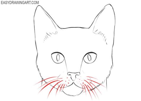 How to Draw a Cat Face | Cat face drawing, Cats art drawing, Black cat ...