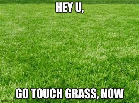 STOP LOOKING AT MEMES AND TOUCH GRASS!!! - Imgflip