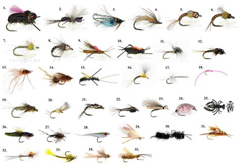 Having Trouble in Tying Flies? Here’s 12 Tips on How to Tie Fly – Big ...