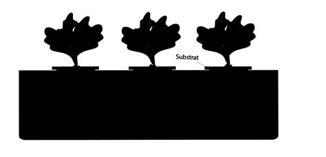 Hydroponic: Various hydroponics systems