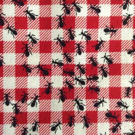 neon-flamingo:Ants On Gingham Fabric - Tumblr Pics