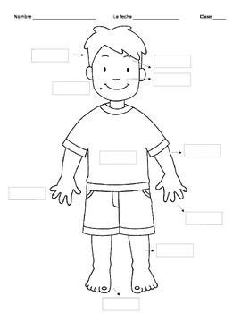 Spanish 1 Para Empezar Body Parts | Body parts for kids, Body parts ...