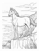 Cliffside Majesty  Free Horse On A Cliff Coloring Page sketch template