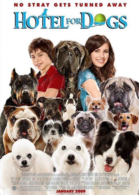 Photo Gallery - Hotel For Dogs - Hotel for Dogs Movie Poster