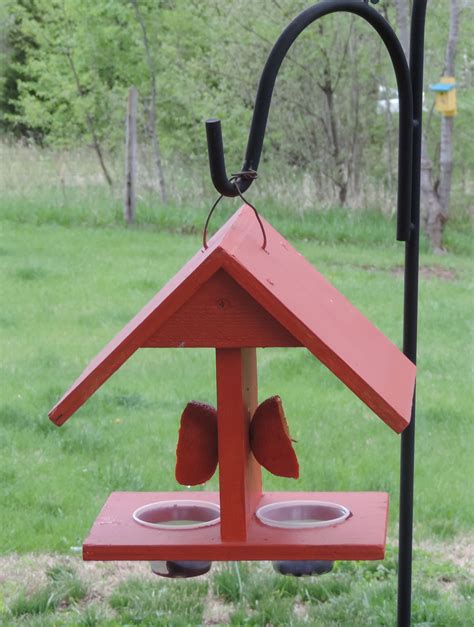 This is an oriole feeder that I made. I put mealworms, grape jelly, nuts, raisins in the cups ...