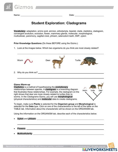 Cladogram-Simulation-Lab-GIZMOS-activity worksheet | Live Worksheets ...