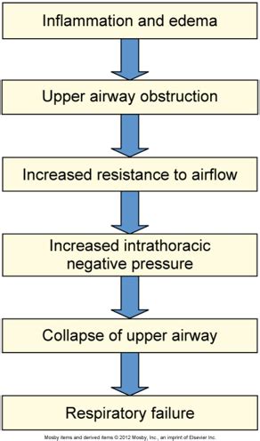 Alterations of Pulmonary Function in Children Flashcards | Quizlet