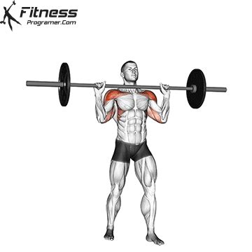 How To Do Barbell Military Press - Benefits, Muscles Worked