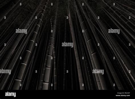 Dark photograph of the illuminated Arashiyama Bamboo Grove at night Stock Photo - Alamy