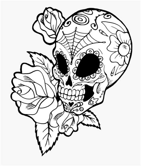 Sugar Skull And Flowers Drawing