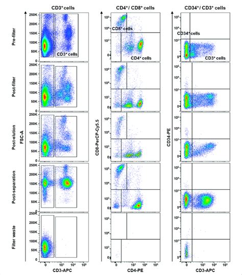 Flow cytometry immunophenotyping of peripheral blood mononuclear cells ...