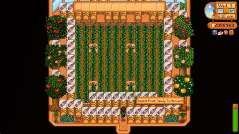 The Best Guide for Stardew Valley Greenhouse Layout - Stardew | Guide