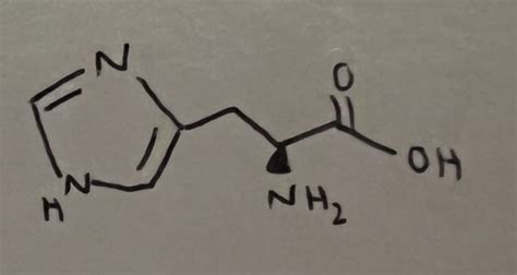 Amino acid structure Flashcards | Quizlet