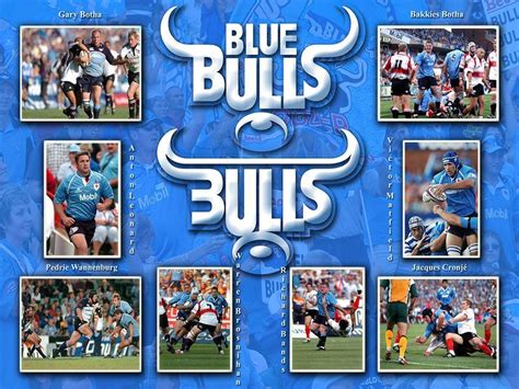 Free Blue Bulls Wallpapers - Wallpaper Cave