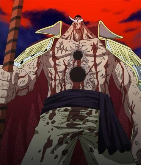 Whitebeard | Wiki | Anime Amino