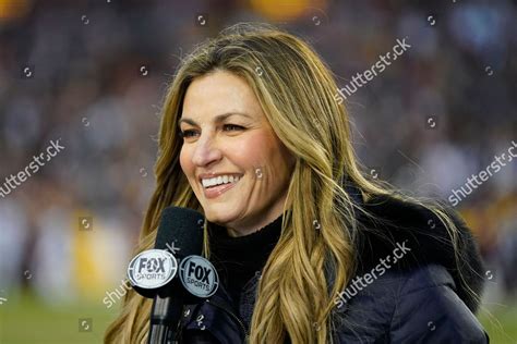 Fox Sports Reporter Erin Andrews On Editorial Stock Photo - Stock Image ...