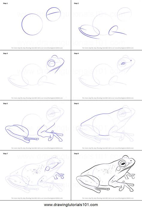 How to Draw a Green Tree Frog printable step by step drawing sheet ...