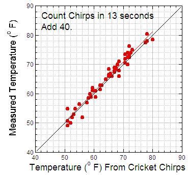 Measuring temperature using crickets | GLOBE Scientists' Blog