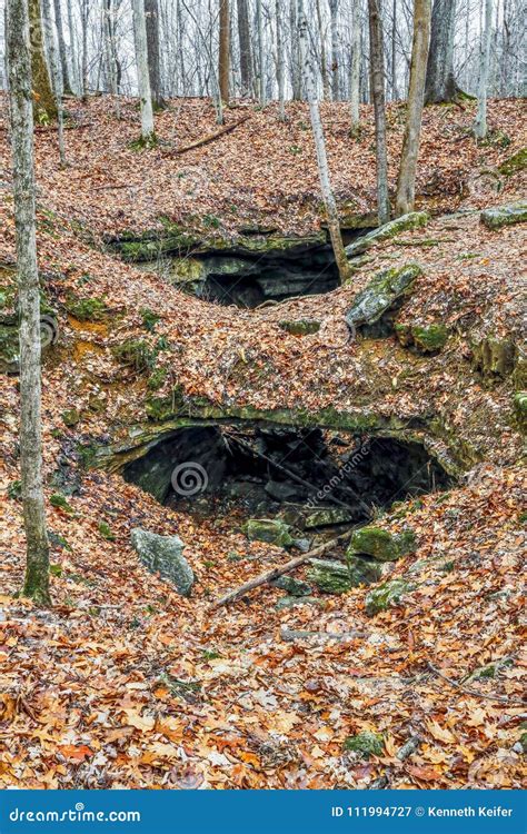 Wolf Cave and Autumn Leaves Stock Image - Image of county, adventure ...