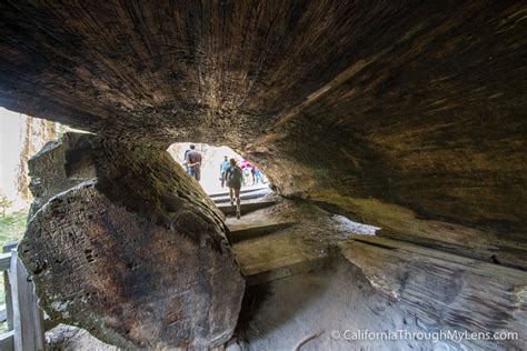 General Grant Trail & Grove: Exploring the Nations Christmas Tree in Kings Canyon National Park ...