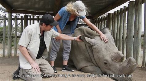 The Last Three: The World's Biggest Rhino Sculpture by Gillie and Marc ...