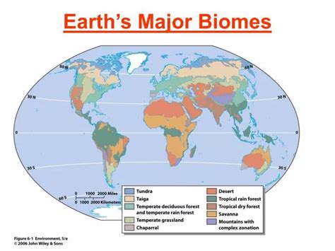 PPT - Earth’s Major Biomes PowerPoint Presentation, free download - ID ...