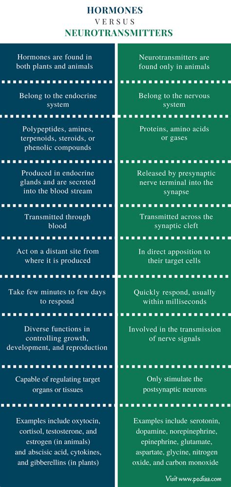 Difference Between Hormones and Neurotransmitters | Definition, Characteristics, Classification ...