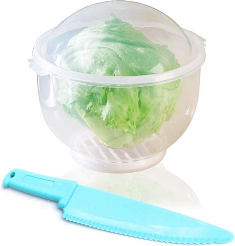 Amazon.com: Lettuce Crisper Salad Keeper Container Keeps your Salads and Vegetables Crisp and ...