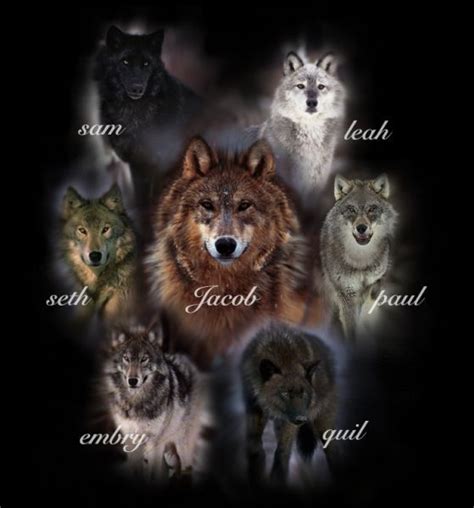 twilight wolves | Jacob's Wolf Pack Names The Twilight Saga - Awesome ...