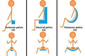 Difference between Anterior Pelvic Tilt and Posterior Pelvic Tilt