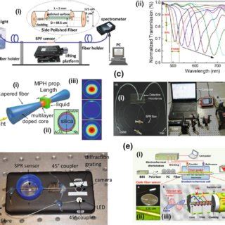 1 Applications of surface plasmon resonance sensors | Download ...