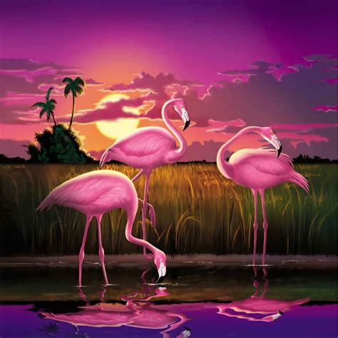 Pink Flamingos At Sunset Tropical Landscape - Square Format by Walt ...