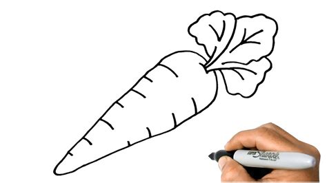 How to DRAW a CARROT Easy Step by Step Drawing for Beginners - YouTube