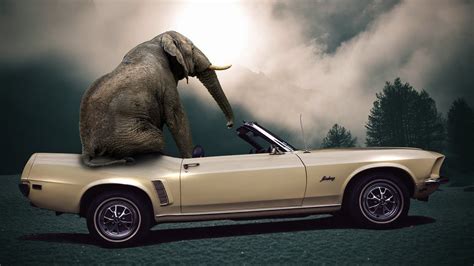 Photoshop composite: Elephant sitting on a classic car - YouTube