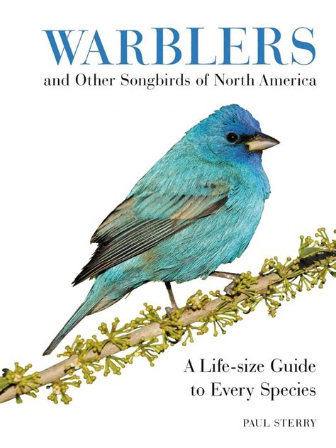 New Book: Warblers and Other Songbirds of North America: A Life-size ...