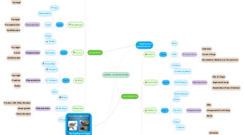 ANIMAL CLASSIFICATION | MindMeister Mind Map