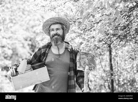 Man bearded hipster collecting harvest. Ranch man. Organic farm. Garden care. Mature farmer ...