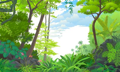 PNG Forest Background – FREE DOWNLOAD