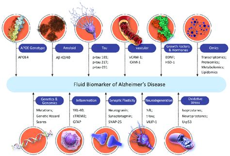 Landscape of fluid biomarkers for Alzheimer's disease (© J Cummings;... | Download Scientific ...