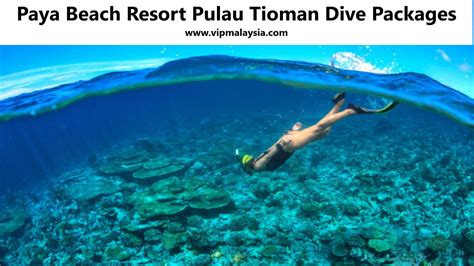 Paya Beach Resort Pulau Tioman Dive Packages | vipmalaysia.com 1001 Best Destinations in Malaysia