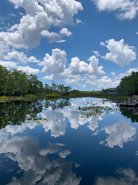 Grassy Waters Conservancy – Supporting the Everglades in West Palm Beach