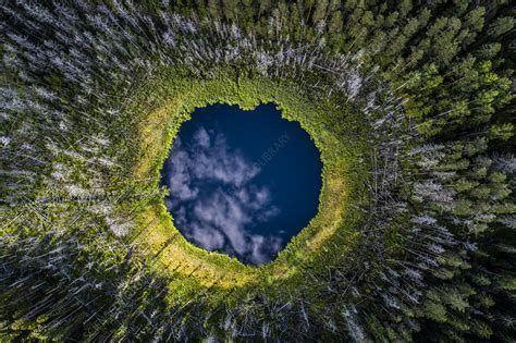 Small forest lake, southern Estonia - Stock Image - C051/9379 - Science Photo Library