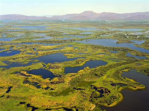 World Wetlands Day 2022: Theme, History, Why is it Celebrated