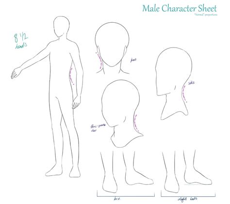 Character Sheet Base (MALE/Typical Bodytype) by LadyHeiwa on DeviantArt