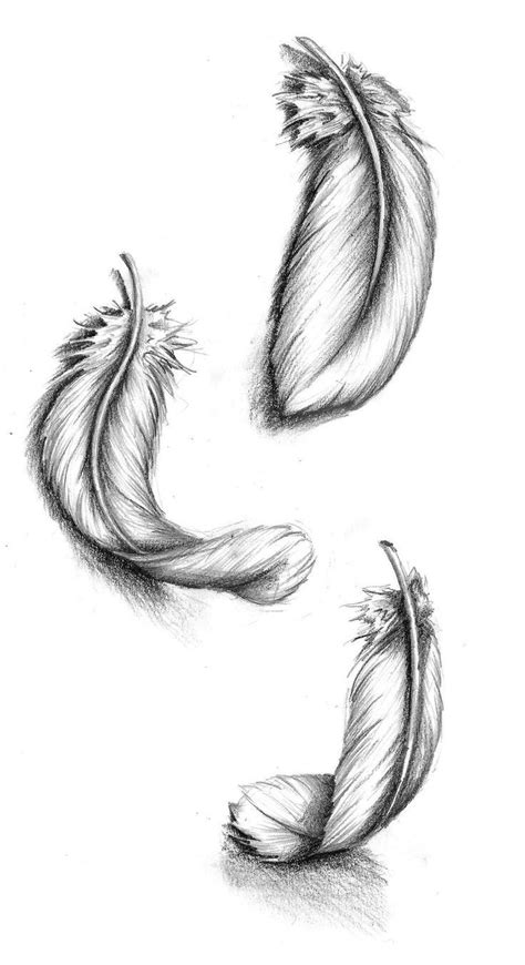 Feather Tattoos Designs Ideas by 05Na (mit Bildern) | Feder kunst, Inspirierende tattoos ...