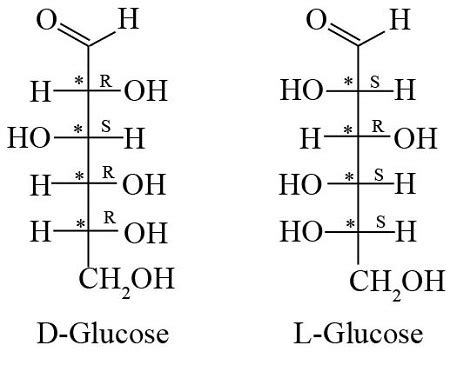 Glucose a. Draw the Fischer projection (standard orientation) for L ...